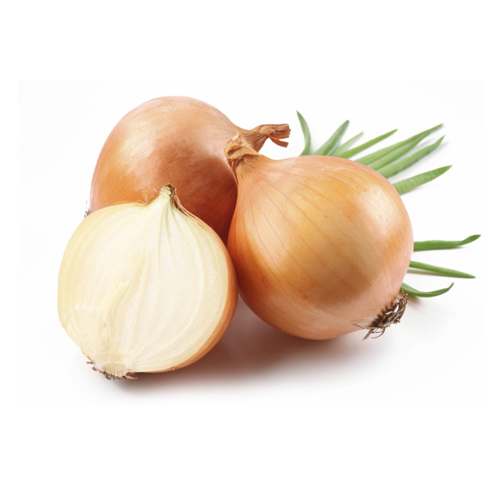 Japanese Onion